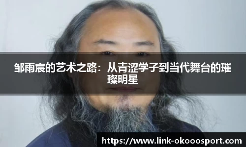 邹雨宸的艺术之路：从青涩学子到当代舞台的璀璨明星